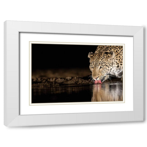 Eye Of The Tiger White Modern Wood Framed Art Print with Double Matting by Eichelberg, Amnon