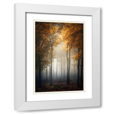 Fall White Modern Wood Framed Art Print with Double Matting by Aurednik, Patrick