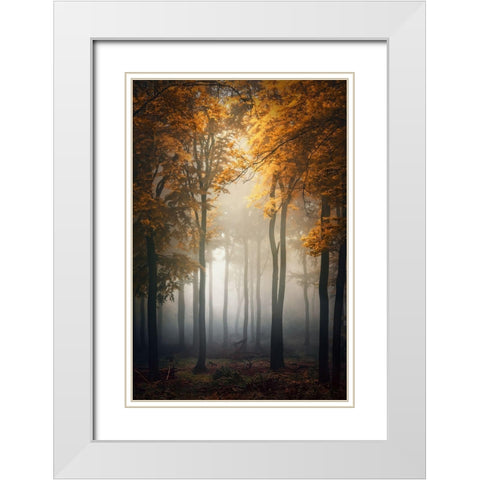 Fall White Modern Wood Framed Art Print with Double Matting by Aurednik, Patrick