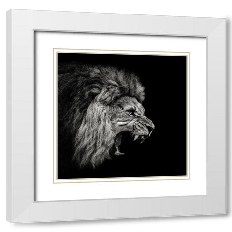Roaring Lion #2 White Modern Wood Framed Art Print with Double Matting by Meermann, Christian