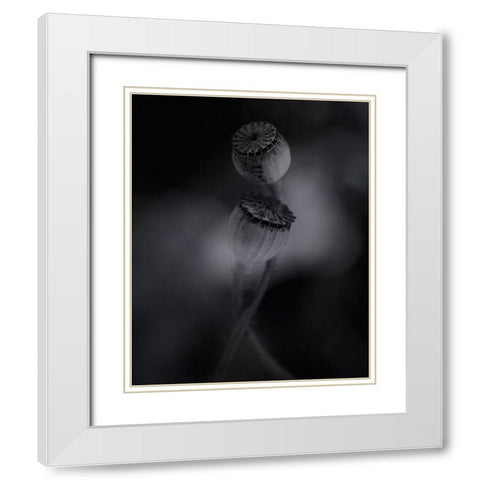 Old Poppies White Modern Wood Framed Art Print with Double Matting by Gronkjar, Lotte