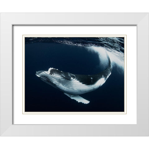 Beautiful Turn White Modern Wood Framed Art Print with Double Matting by Takahashi, Reiko