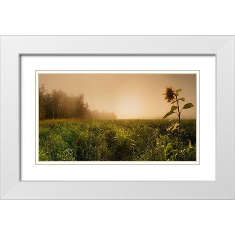 Misty Morning White Modern Wood Framed Art Print with Double Matting by Shepeleva, Julia