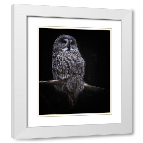 Owl White Modern Wood Framed Art Print with Double Matting by Cseresnjes, Anna
