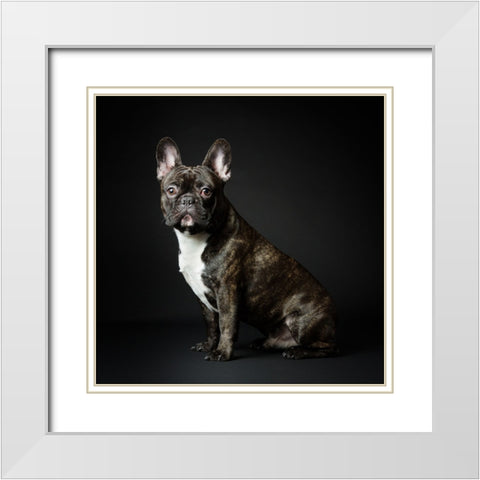 Max White Modern Wood Framed Art Print with Double Matting by Suykerbuyk, Jurgen