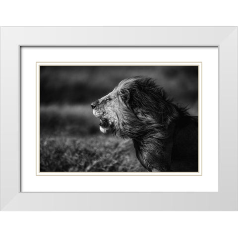 Breeze White Modern Wood Framed Art Print with Double Matting by Alnaser, Mohammed