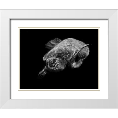 Portrait Of A Sea Turtle In Black And White White Modern Wood Framed Art Print with Double Matting by Wechsler, Robin