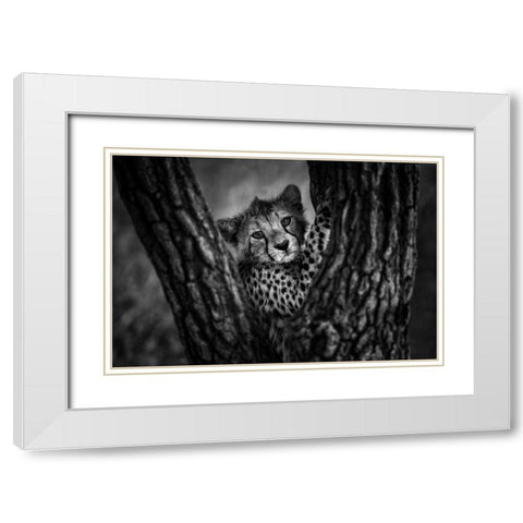 Centered White Modern Wood Framed Art Print with Double Matting by Alnaser, Mohammed