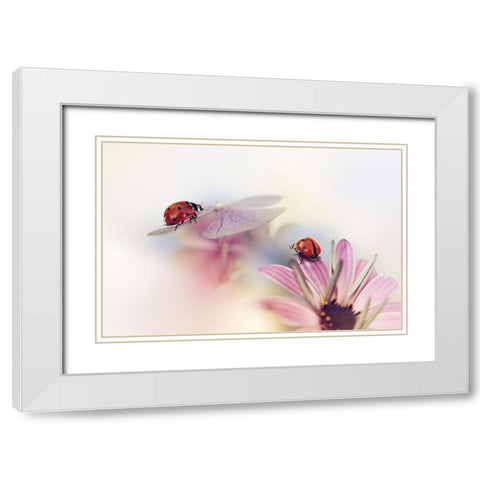 Last Days Of Summer White Modern Wood Framed Art Print with Double Matting by Van Deelen, Ellen