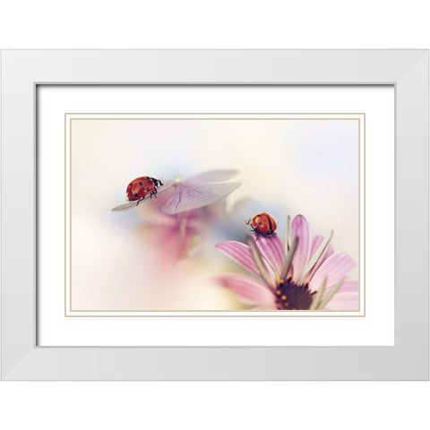 Last Days Of Summer White Modern Wood Framed Art Print with Double Matting by Van Deelen, Ellen