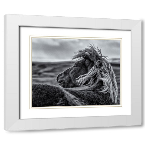 Glance Back White Modern Wood Framed Art Print with Double Matting by Ding, Sunny
