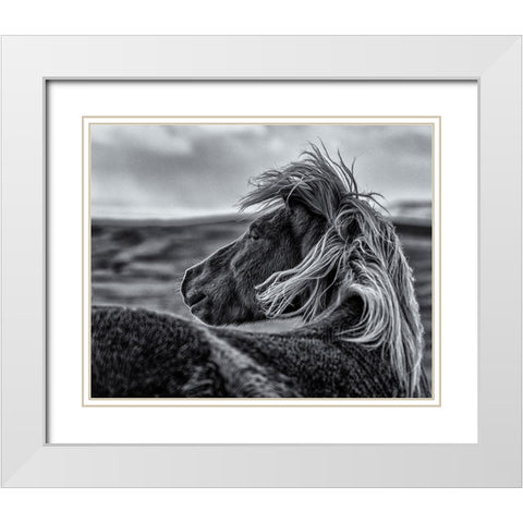 Glance Back White Modern Wood Framed Art Print with Double Matting by Ding, Sunny