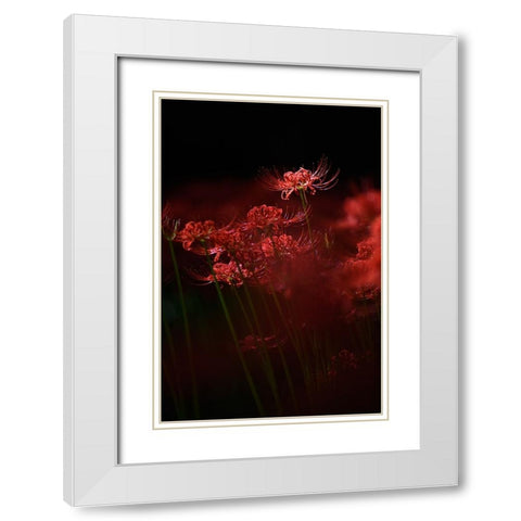 Sparkling Red Flower White Modern Wood Framed Art Print with Double Matting by Suzuki, Takashi