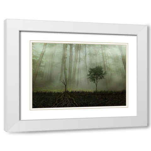 Root 2 White Modern Wood Framed Art Print with Double Matting by Golchin, Aryana