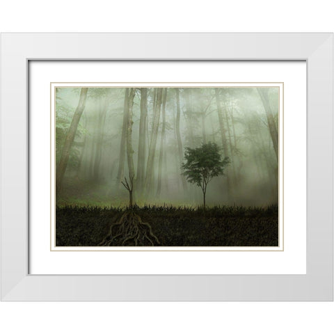 Root 2 White Modern Wood Framed Art Print with Double Matting by Golchin, Aryana