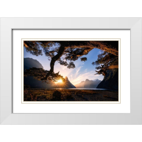 Sunny Day In Milford Sound White Modern Wood Framed Art Print with Double Matting by Zhu, Jingshu