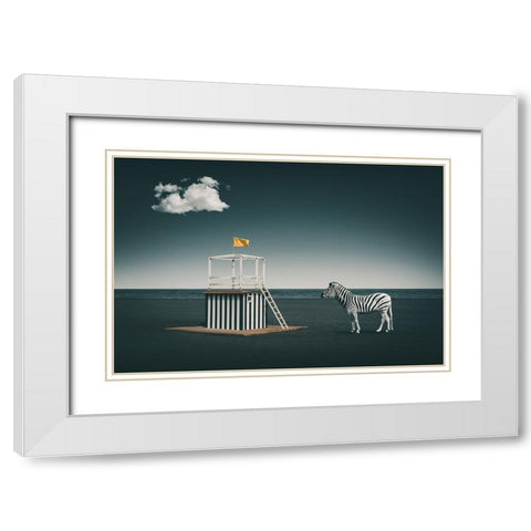 Zebra Style White Modern Wood Framed Art Print with Double Matting by Hennen, Marcus