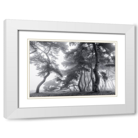 Endure For A Hundred Years White Modern Wood Framed Art Print with Double Matting by Seo, Tiger