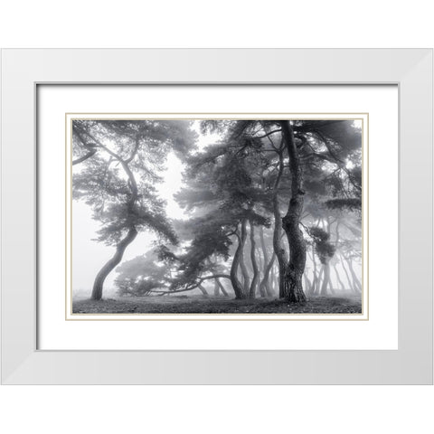 Endure For A Hundred Years White Modern Wood Framed Art Print with Double Matting by Seo, Tiger