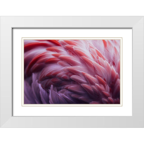 Flamingo White Modern Wood Framed Art Print with Double Matting by Beata, Angyalosi