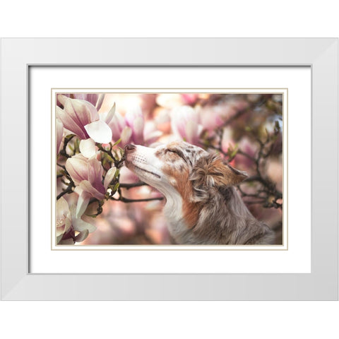 Dawn Of Blossom White Modern Wood Framed Art Print with Double Matting by Shandor, Ve