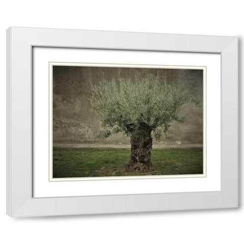 Olive White Modern Wood Framed Art Print with Double Matting by Irmawarth