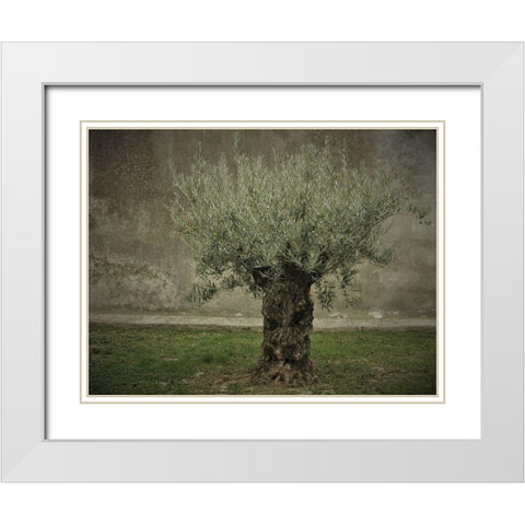 Olive White Modern Wood Framed Art Print with Double Matting by Irmawarth