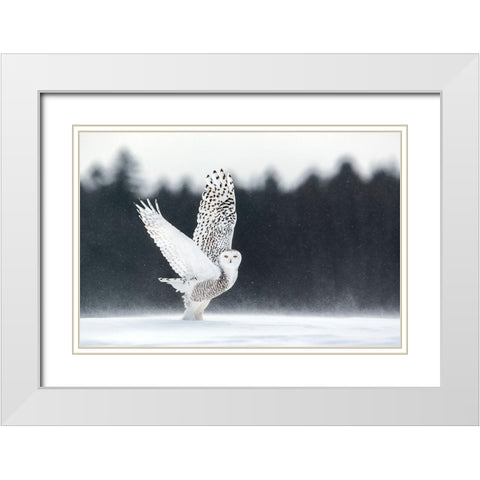 Take Off White Modern Wood Framed Art Print with Double Matting by Catta, Alessandro