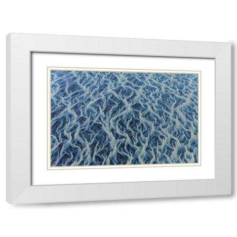 1 Veins Of The Earth White Modern Wood Framed Art Print with Double Matting by Svoboda MQEP, Peter