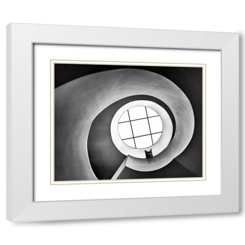 Tomcat White Modern Wood Framed Art Print with Double Matting by Klaus, Reibl