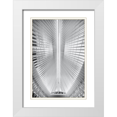 Oculus White Modern Wood Framed Art Print with Double Matting by Tagliarino, Marco
