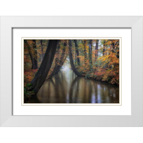 Enchanted Autumn White Modern Wood Framed Art Print with Double Matting by Carozzi, Fiorenzo