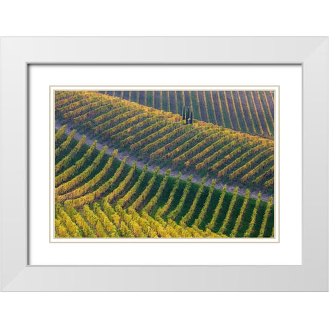 Vineyards White Modern Wood Framed Art Print with Double Matting by Carozzi, Fiorenzo