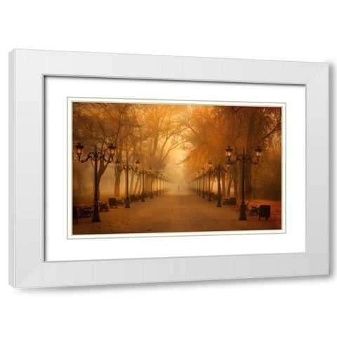 November Morning White Modern Wood Framed Art Print with Double Matting by Andreescu, Cristian
