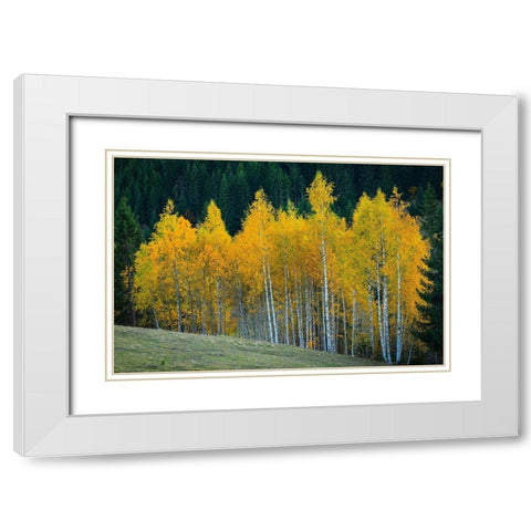 Autumn White Modern Wood Framed Art Print with Double Matting by Hamiti, Bess
