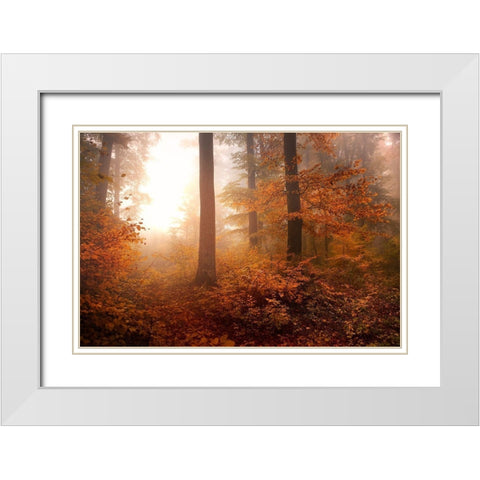 Autumn White Modern Wood Framed Art Print with Double Matting by Irmawarth