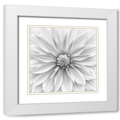Hamari Gold In Monochrome White Modern Wood Framed Art Print with Double Matting by Gronkjar, Lotte