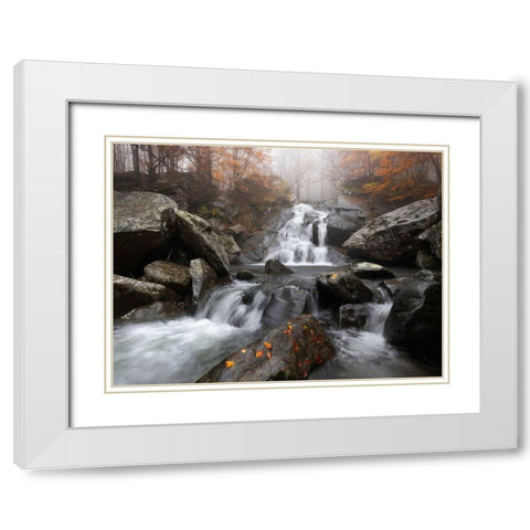Autumn Fog White Modern Wood Framed Art Print with Double Matting by Tavani, Francesco