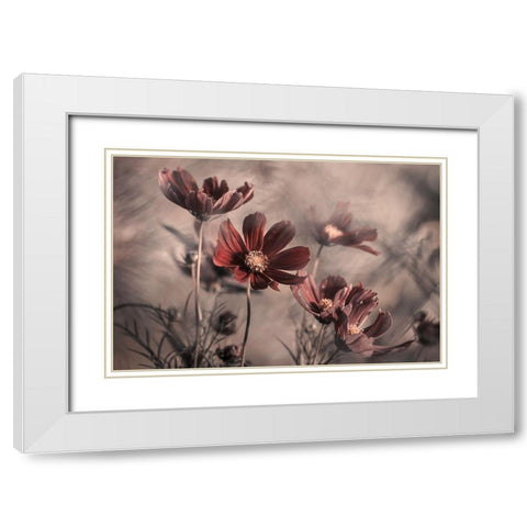 Cosmos 2019 White Modern Wood Framed Art Print with Double Matting by Bravin, Fabien