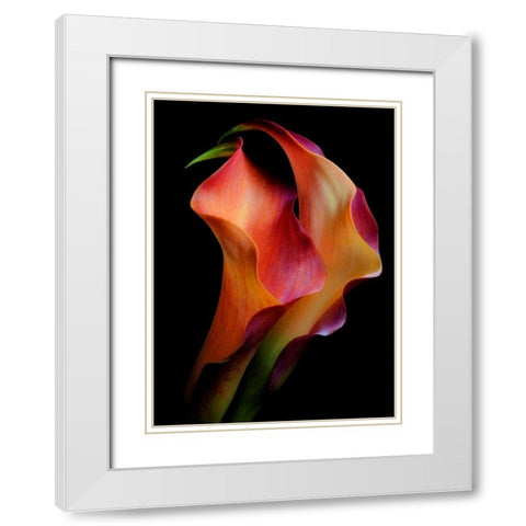 Tenderness White Modern Wood Framed Art Print with Double Matting by Kinney, Jon