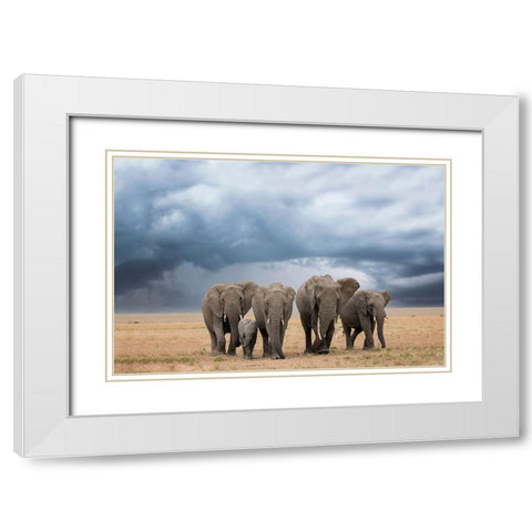 Elephant Walk White Modern Wood Framed Art Print with Double Matting by Doyle, Renee