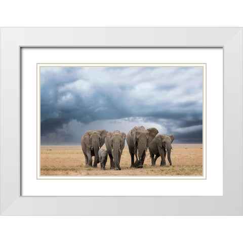 Elephant Walk White Modern Wood Framed Art Print with Double Matting by Doyle, Renee