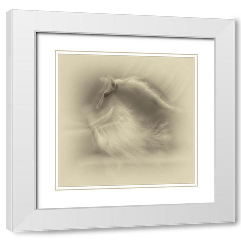 White On White White Modern Wood Framed Art Print with Double Matting by Malovrh, Milan
