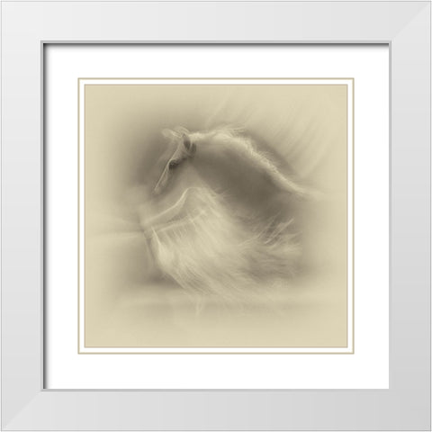 White On White White Modern Wood Framed Art Print with Double Matting by Malovrh, Milan
