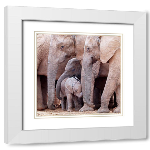 Family White Modern Wood Framed Art Print with Double Matting by Pearce, Robert