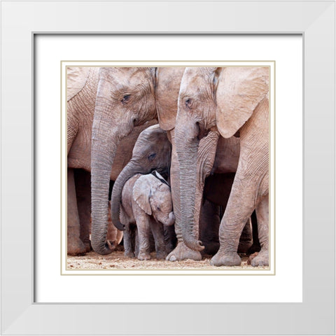 Family White Modern Wood Framed Art Print with Double Matting by Pearce, Robert
