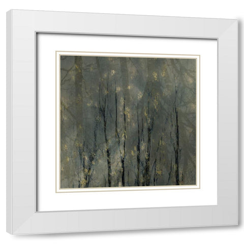 Bald Trees White Modern Wood Framed Art Print with Double Matting by Talen, Nel