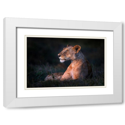 Lone Lioness White Modern Wood Framed Art Print with Double Matting by Ortega, Xavier