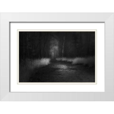 Shades In Black White Modern Wood Framed Art Print with Double Matting by Dingemans, Saskia