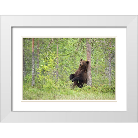 Relax White Modern Wood Framed Art Print with Double Matting by Pozzi, Marco